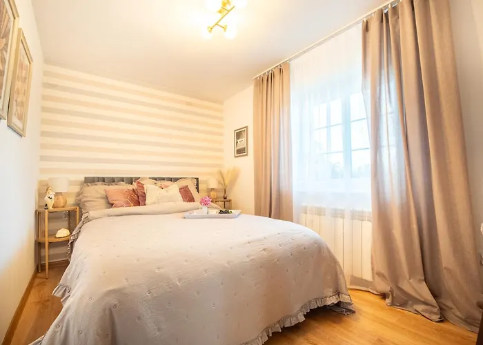 Zloty Lis Nowe Kiejkuty